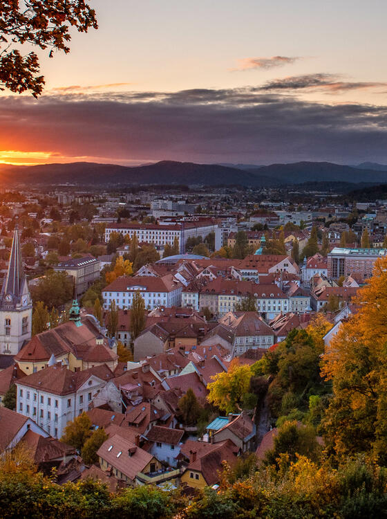 Zasedala Skupščina Javnega Holdinga Ljubljana In Svet Ustanoviteljev ...