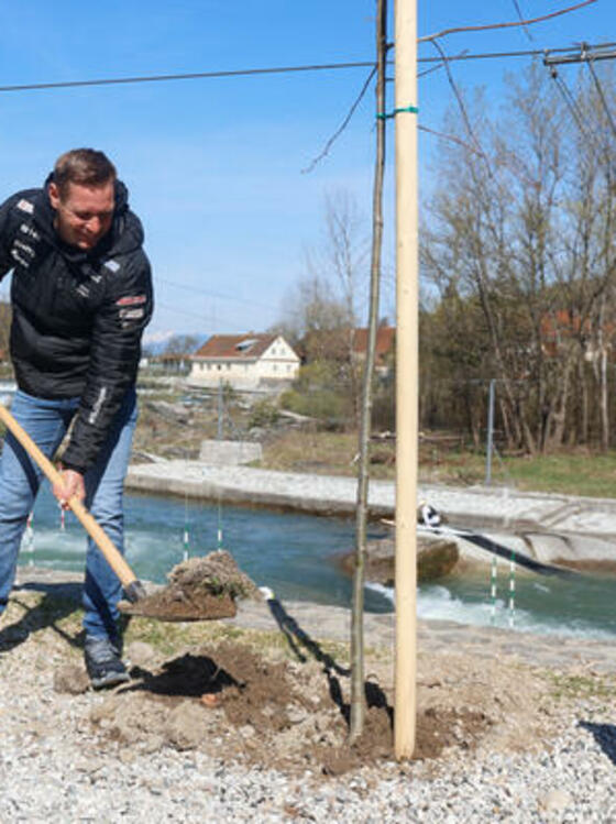 We planted Olympic trees » City of Ljubljana