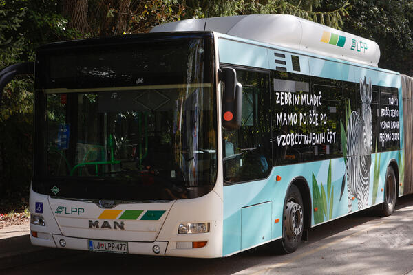 avtobus kampanje