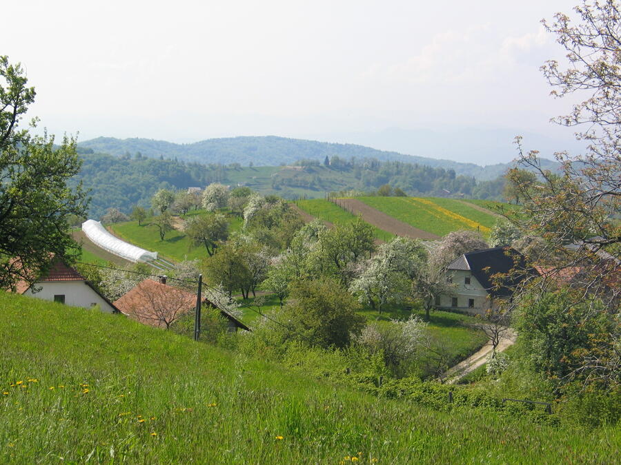 pogled na kmetijo v vzhodnem hribovitem delu Ljubljane