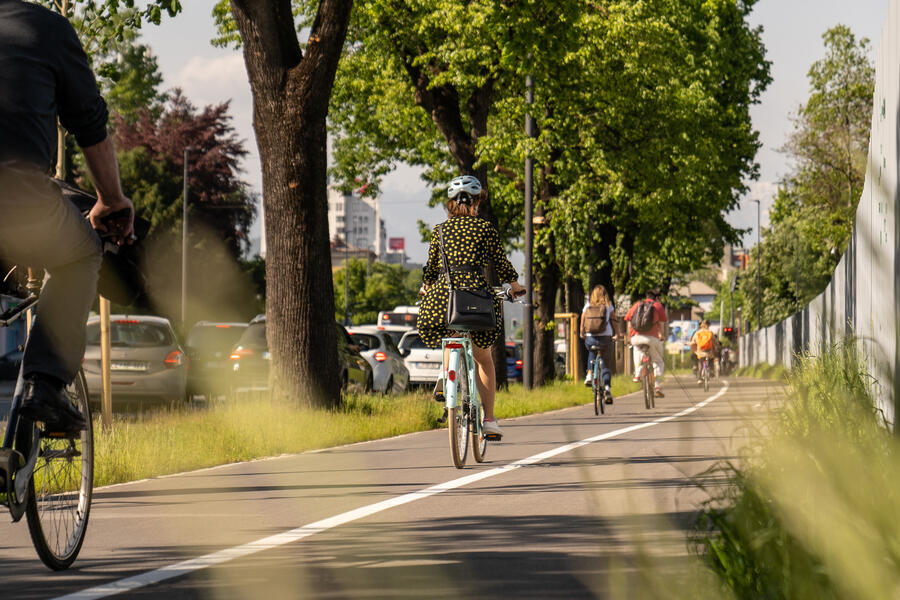 kolesarji na Dunajski cesti