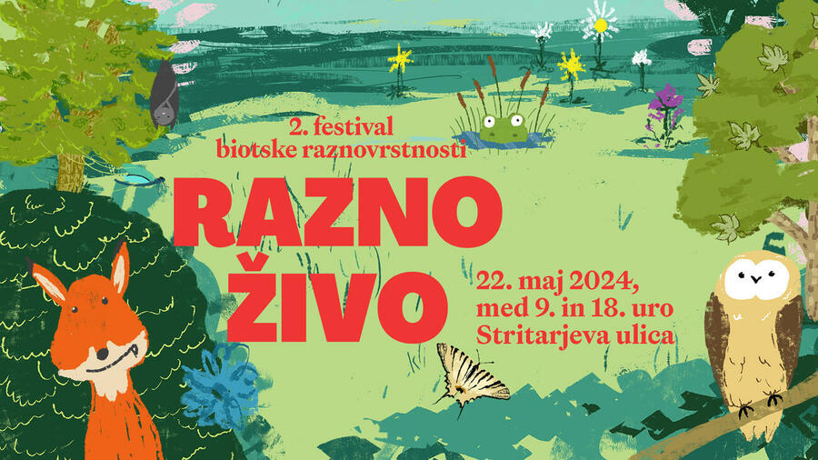 Invitation to the festival that will take place on 22th May 2024