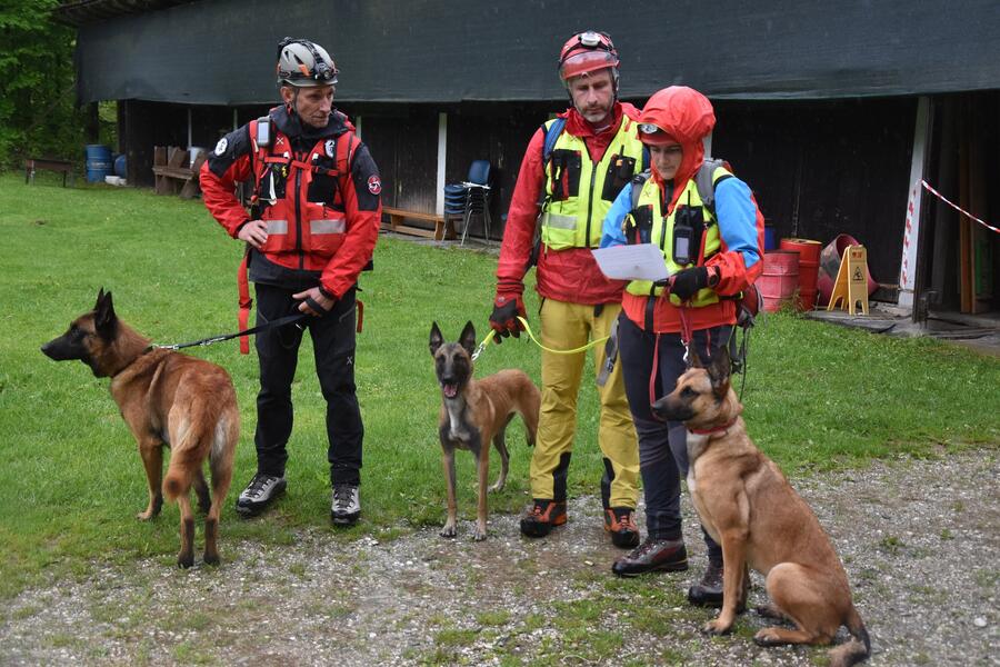 vodniki reševalnih psov