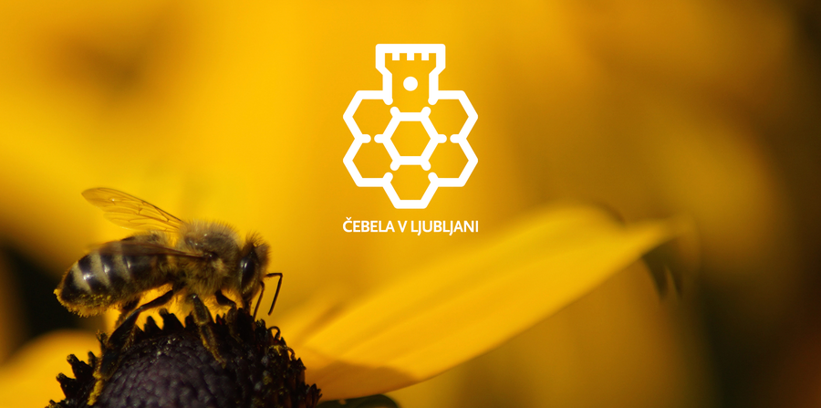 Bee in Ljubljana