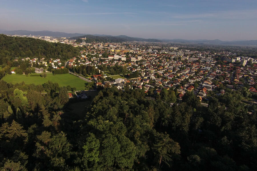 gozd nad Ljubljano 