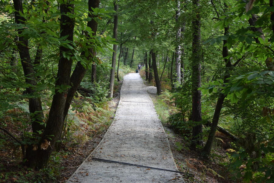 Sprehod po Golovcu5 Klemen Strmsnik4